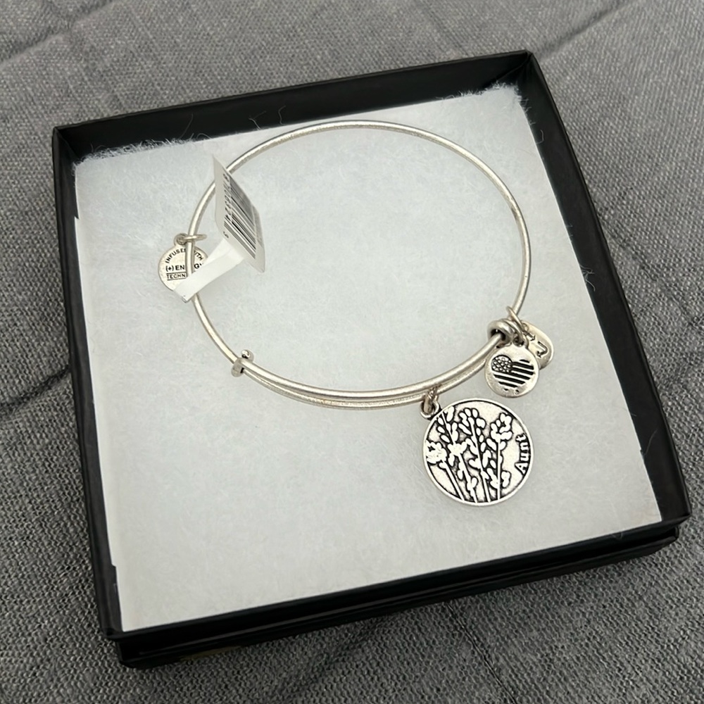 SOLD Alex and Ani Charm Bracelet